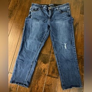Democracy "Ab"solution® Blue Denim Distressed Petite Girlfriend Jean 16P